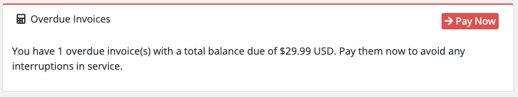 Pay Now button in invoice view